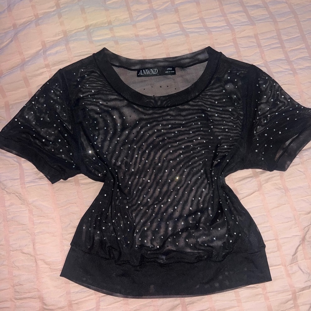 Zara Black Sheer Short Sleeve Top